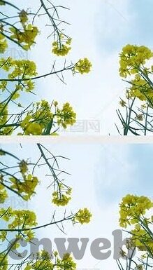 水果机微信上下分-水果机微信上下分，一种便捷的游戏体验